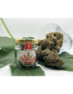 MANGO KUSH, FLEURS A... 2