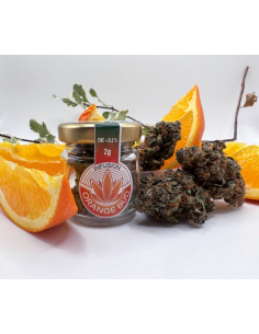 ORANGE BUD, FLEURS A... 2