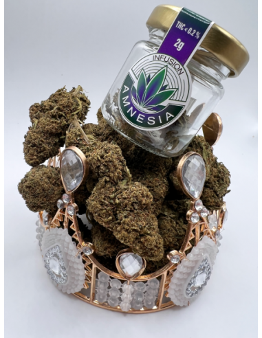 AMNESIA, FLEURS A INFUSION SATIVA L.